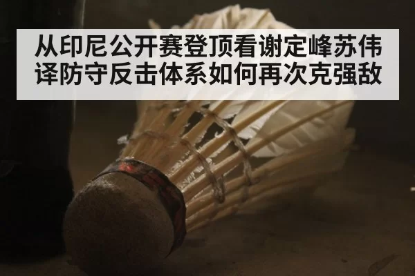 从印尼公开赛登顶看谢定峰苏伟译防守反击体系如何再次克强敌